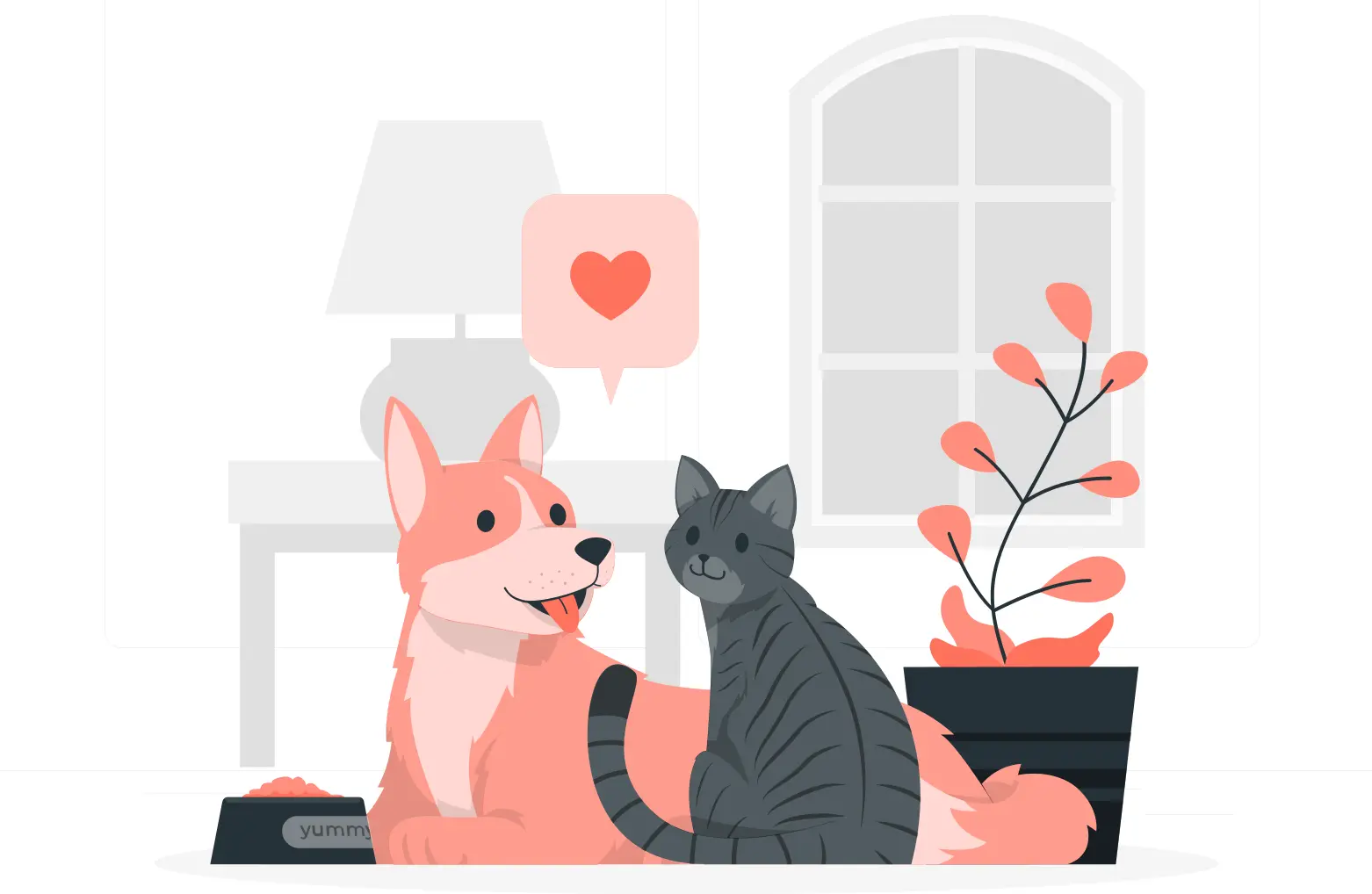 catAndDog